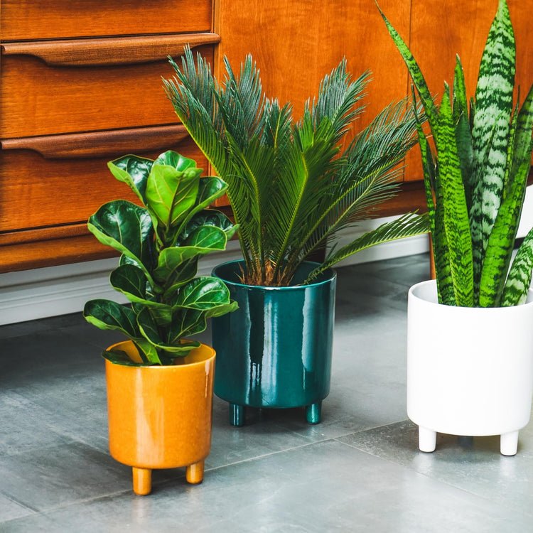 Pisa Emerald Planter H24Cm D20Cm - Skandi London