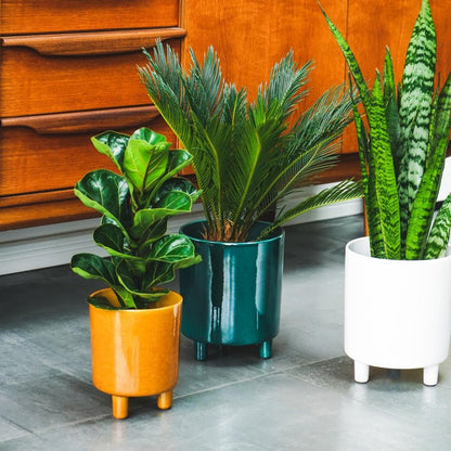 Pisa Emerald Planter H24Cm D20Cm - Skandi London