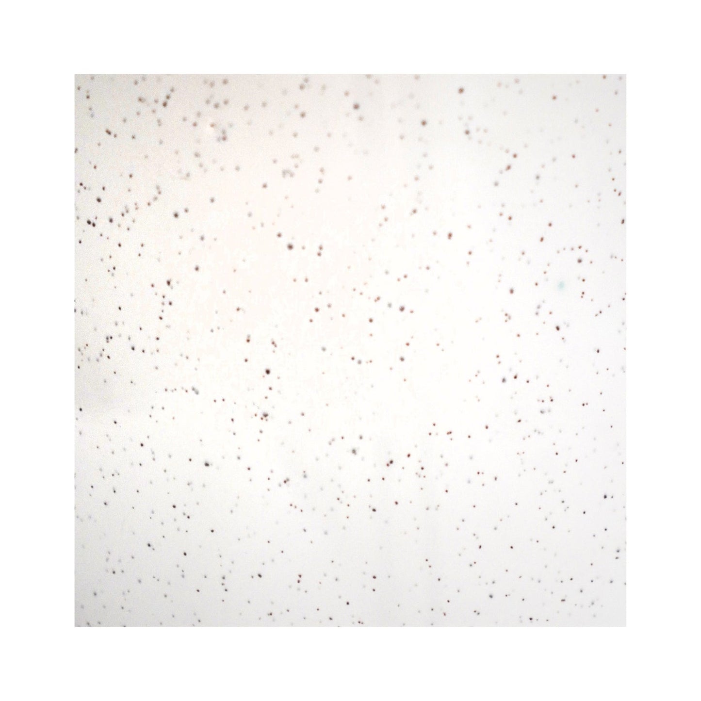 Alfta Ivory Speckled Planter Medium - Medium - Skandi London