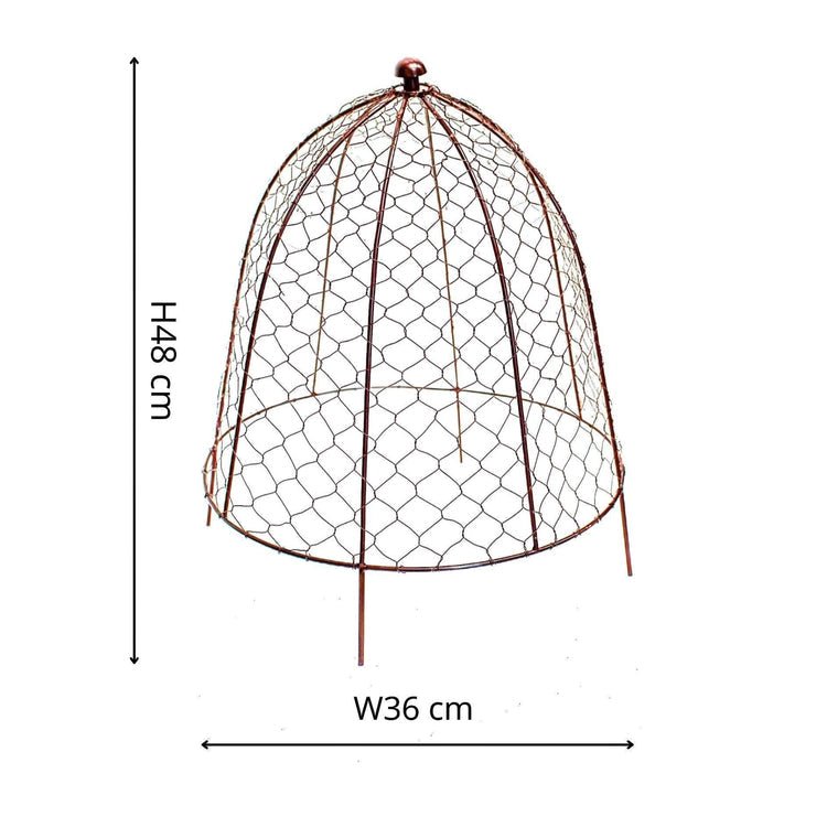 Outdoor Wire Netted Plant Protector Bronze H48cm W36 - Skandi London