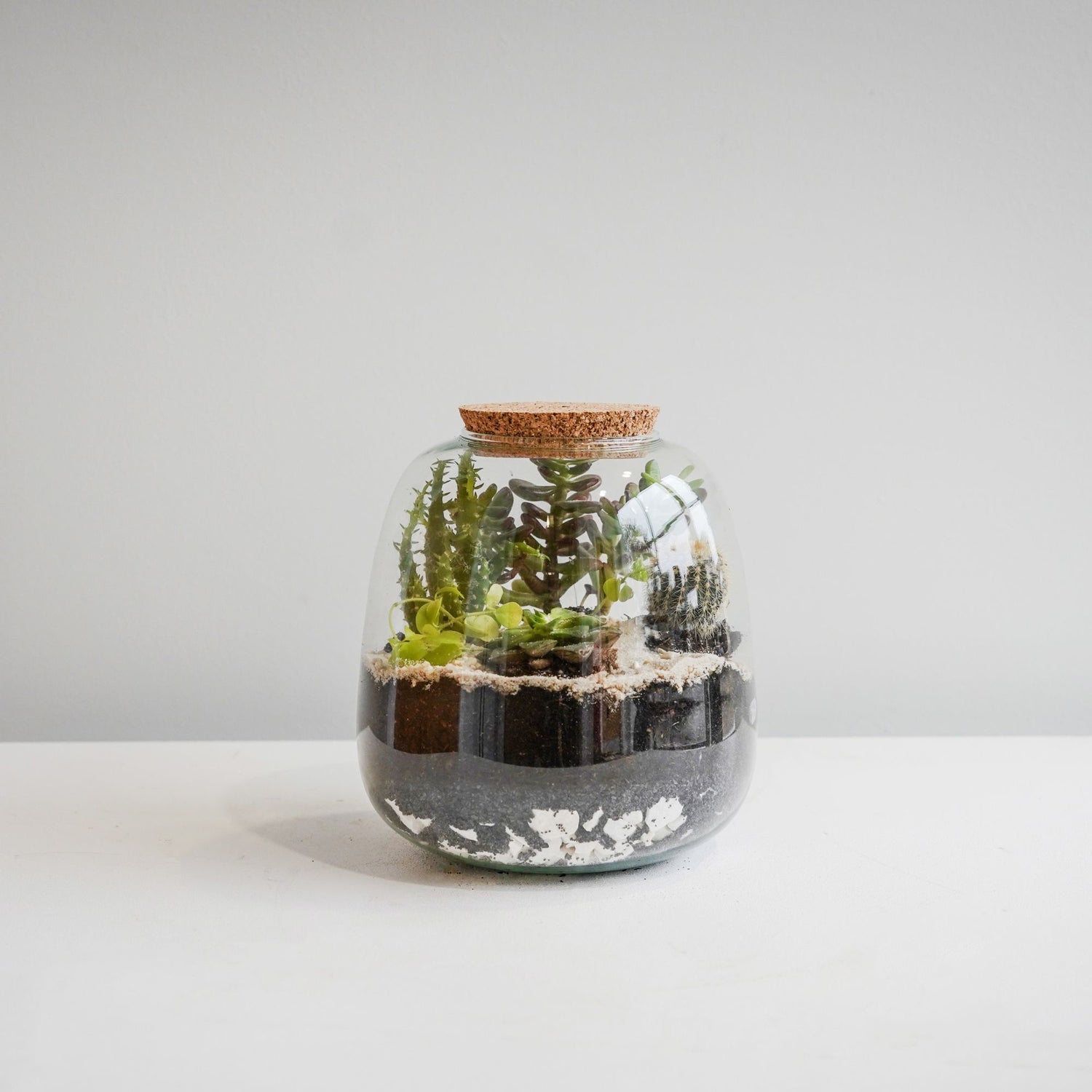 Asker Bowl Terrarium DIY Kit Medium - Medium - Skandi London