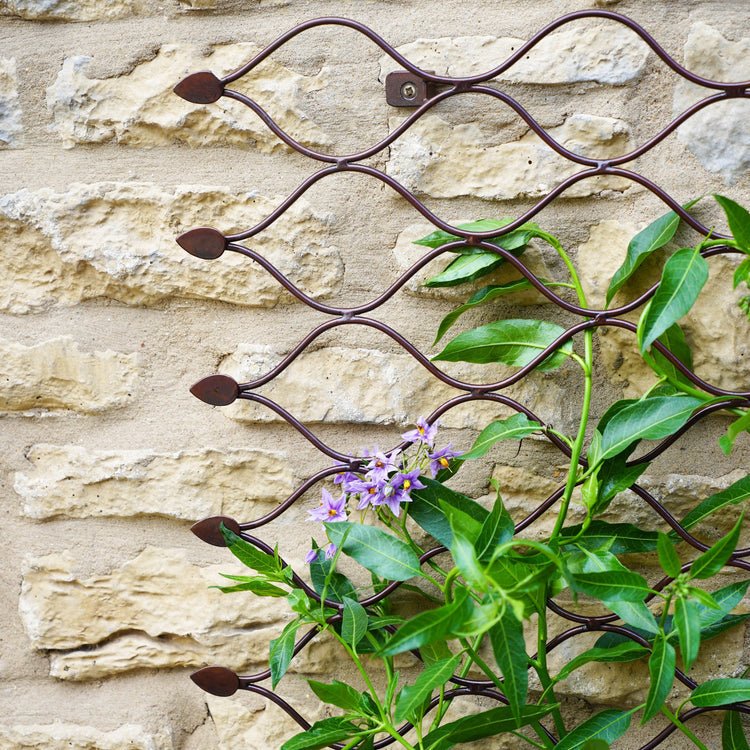 Outdoor Honeycomb Trellis Bronze H84cm W62cm - Skandi London