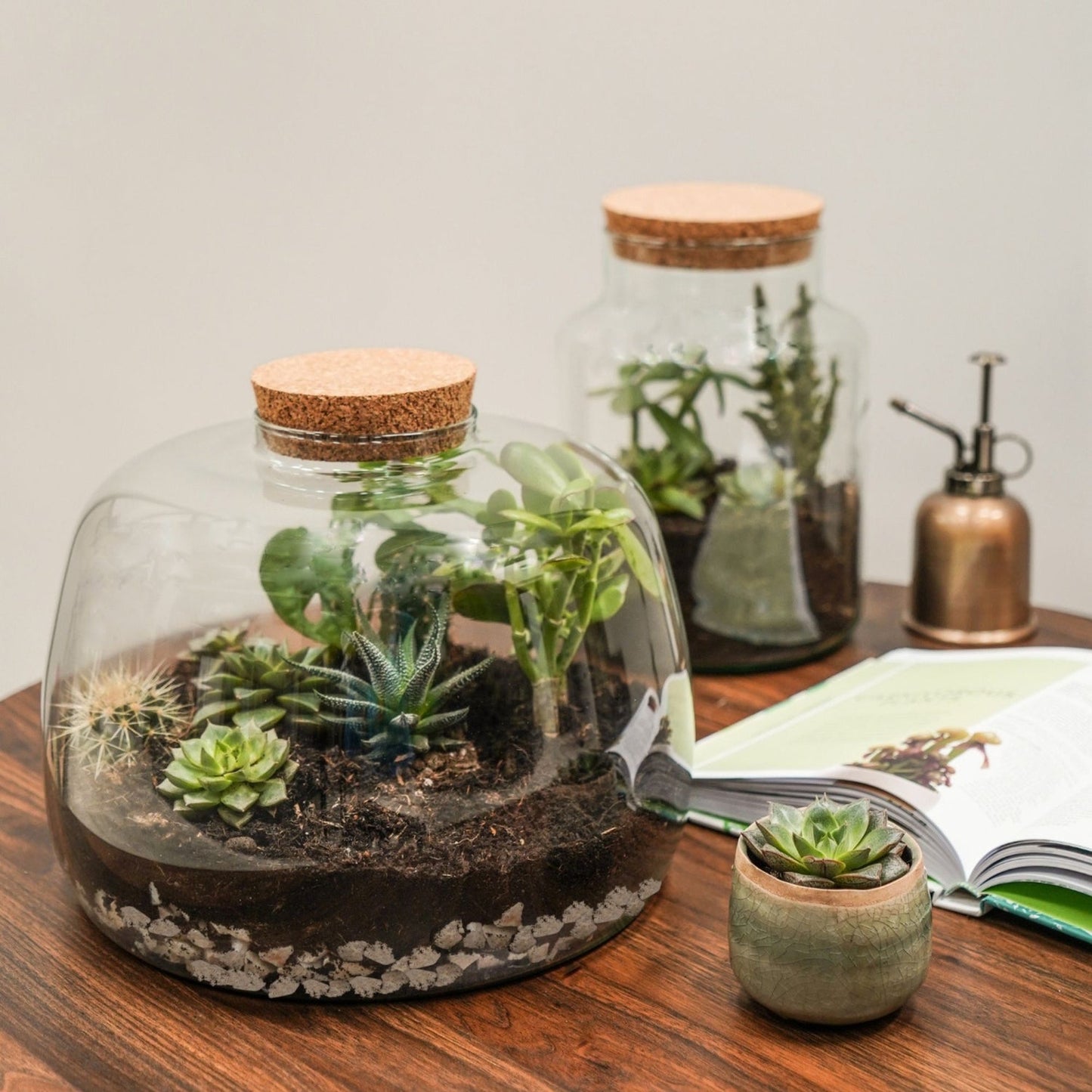 Asker Bowl Terrarium DIY Kit Large - Large - Skandi London