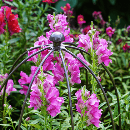 Outdoor Plant Support Zinc H60cm W36cm - Skandi London