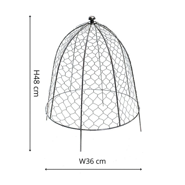 Outdoor Wire Netted Plant Protector Zinc H48cm W36 - Skandi London