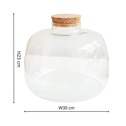 Asker Bowl Terrarium DIY Kit Large - Large - Skandi London
