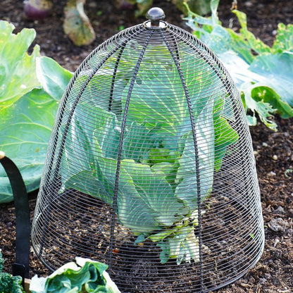Outdoor Wired Plant Protector Zinc H48cm W36 - Skandi London