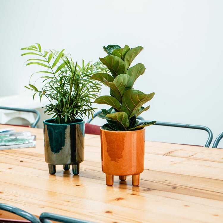 Pisa Mustard Planter H24Cm D20Cm - Skandi London