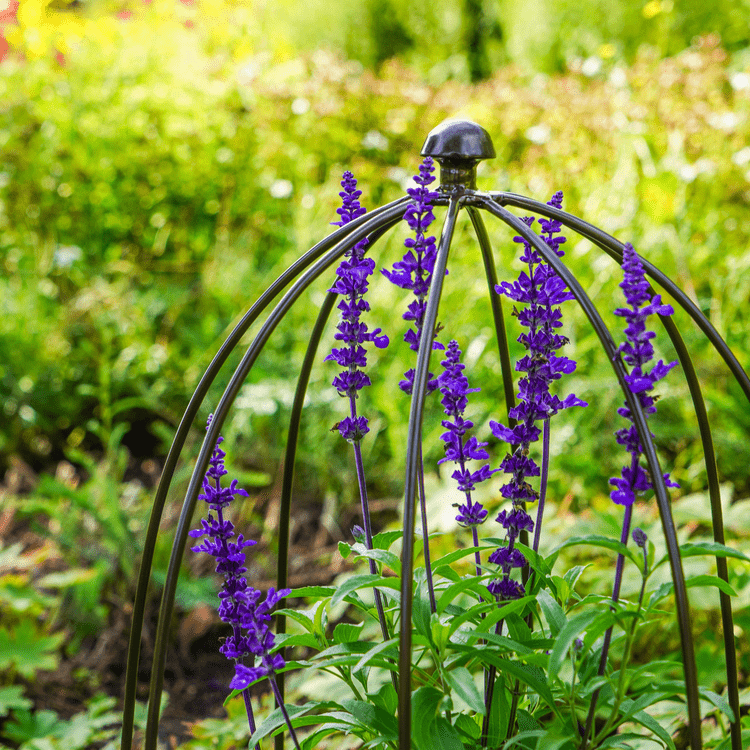 Outdoor Plant Support Zinc H60cm W36cm - Skandi London