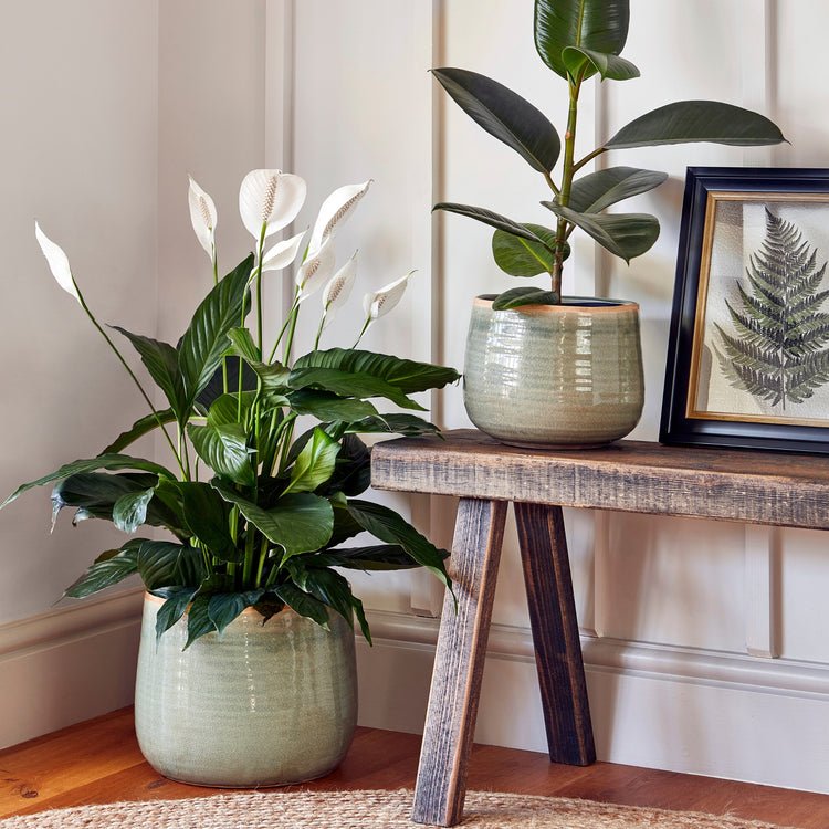Pot Como Mint H21Cm D26Cm - Skandi London