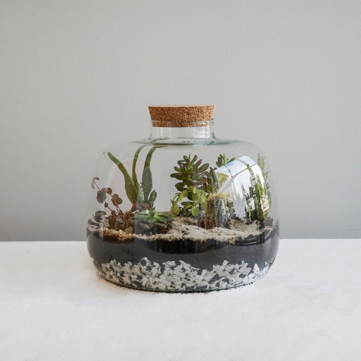 Asker Bowl Terrarium DIY Kit Large - Large - Skandi London