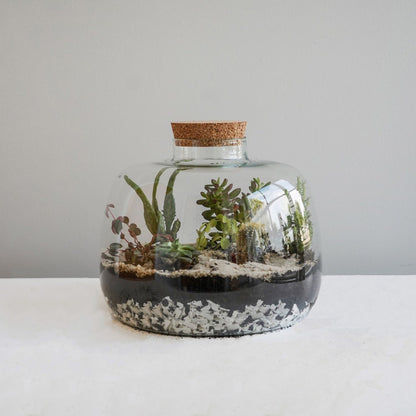 Asker Bowl Terrarium DIY Kit Large - Large - Skandi London