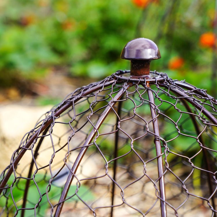 Outdoor Wire Netted Plant Protector Bronze H55cm W47 - Skandi London