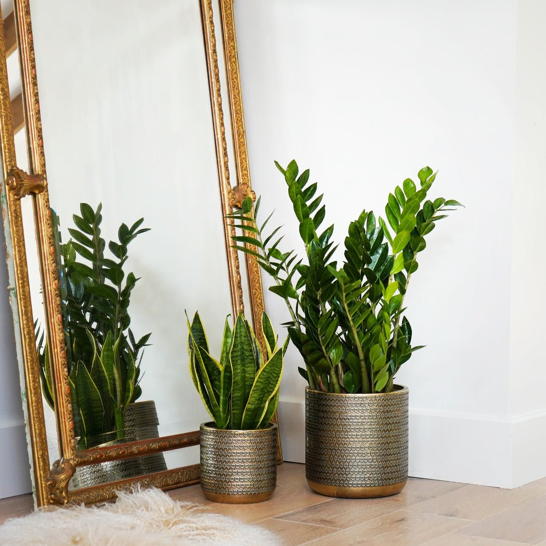 Thor Embossed Planter Gold - Medium - Skandi London