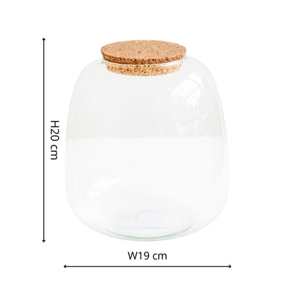 Asker Bowl Terrarium DIY Kit Medium - Medium - Skandi London