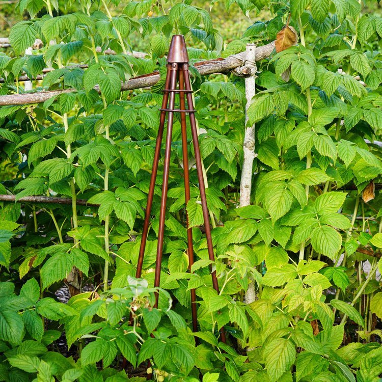 Outdoor Climber Tripod Bronze H120cm W30cm - Skandi London