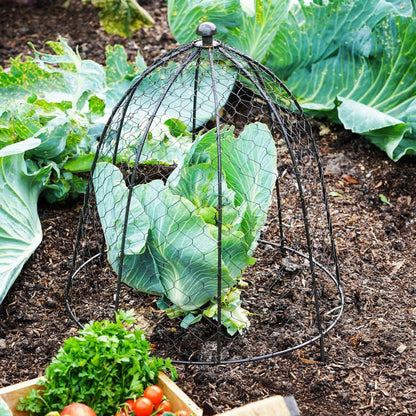 Outdoor Wire Netted Plant Protector Zinc H55cm W47 - Skandi London