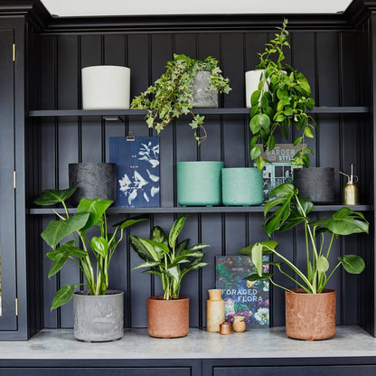 Celine Set of Two Recycled Black Planters - Skandi London