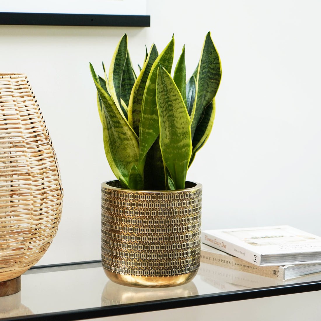 Thor Embossed Planter Gold - Medium - Skandi London