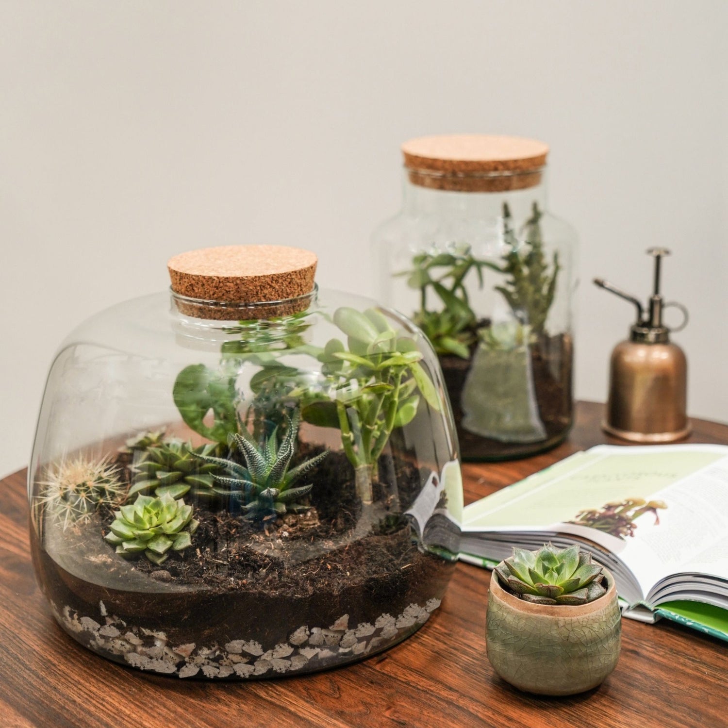 Askvoll Bottle Terrarium DIY Kit Lsrge - Large - Skandi London