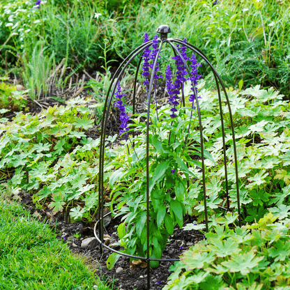 Outdoor Plant Support Zinc H60cm W36cm - Skandi London