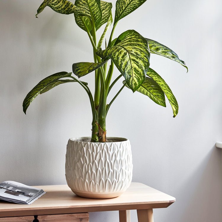 Arles Leaf Embossed White Planter H20Cm W22Cm - Skandi London