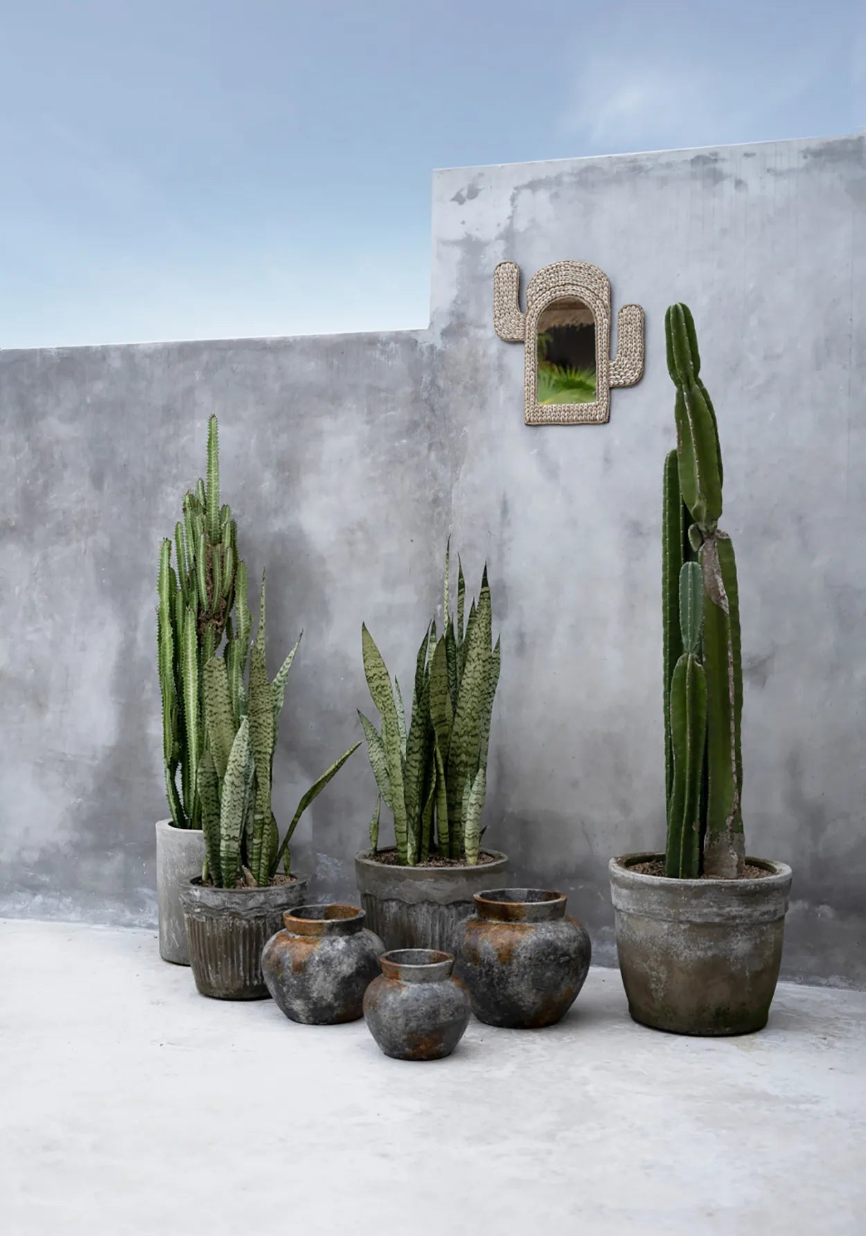 The Cactus Shell Mirror - White - Skandi London