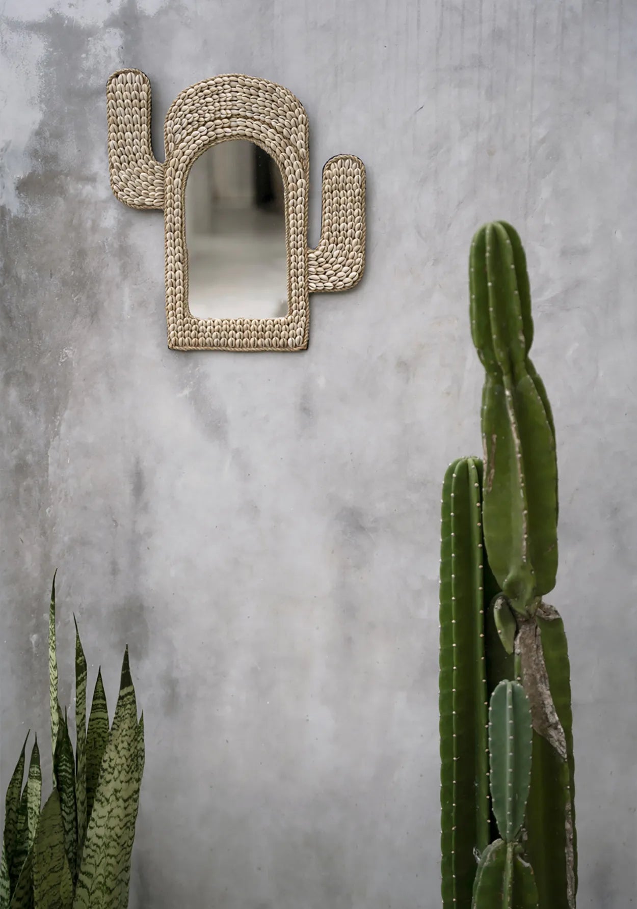 The Cactus Shell Mirror - White - Skandi London
