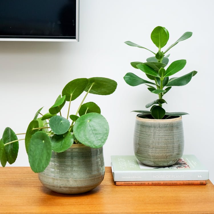 Pot Como Mint H21Cm D26Cm - Skandi London