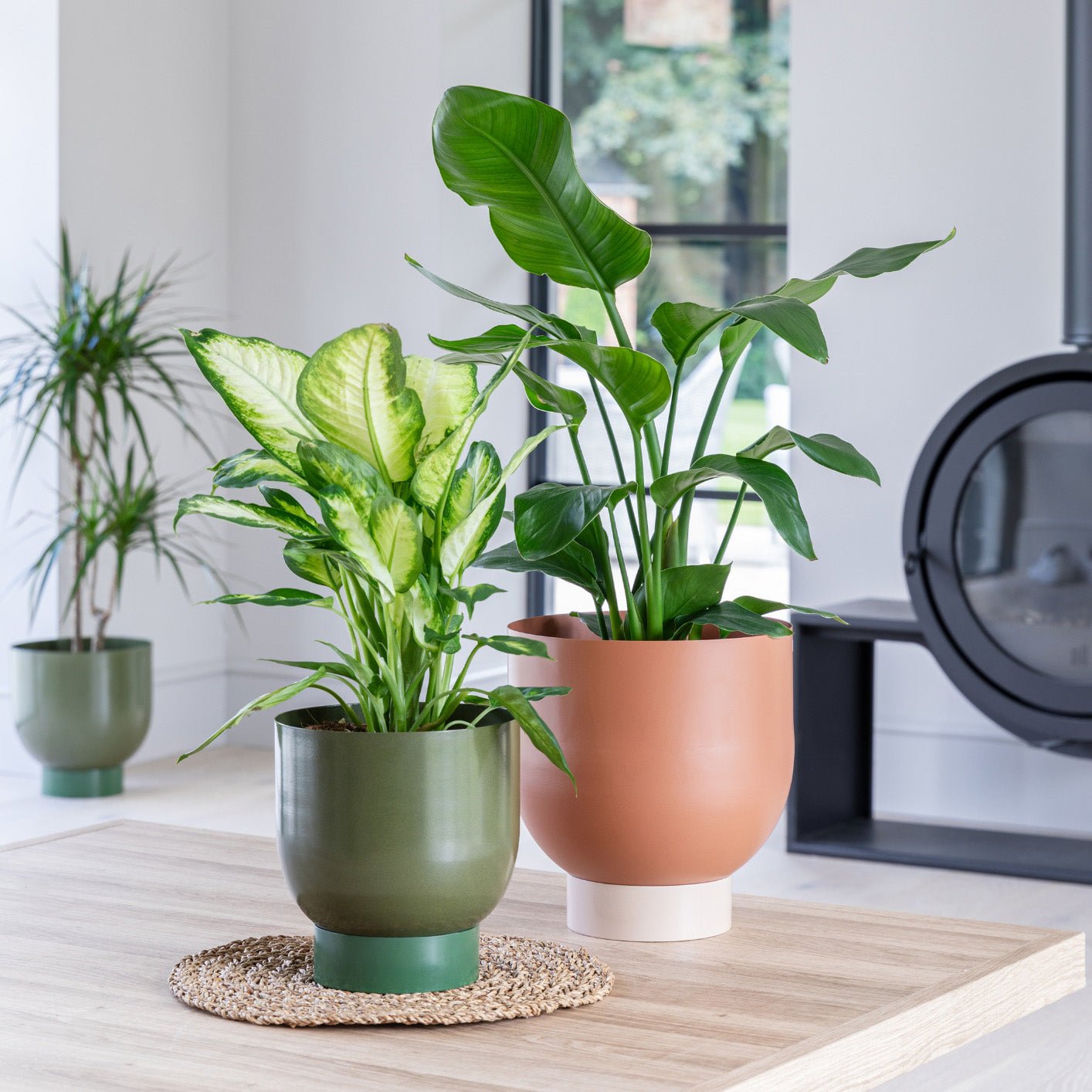Austin Dual Rubarb Metal Planters Set of 2 - Skandi London