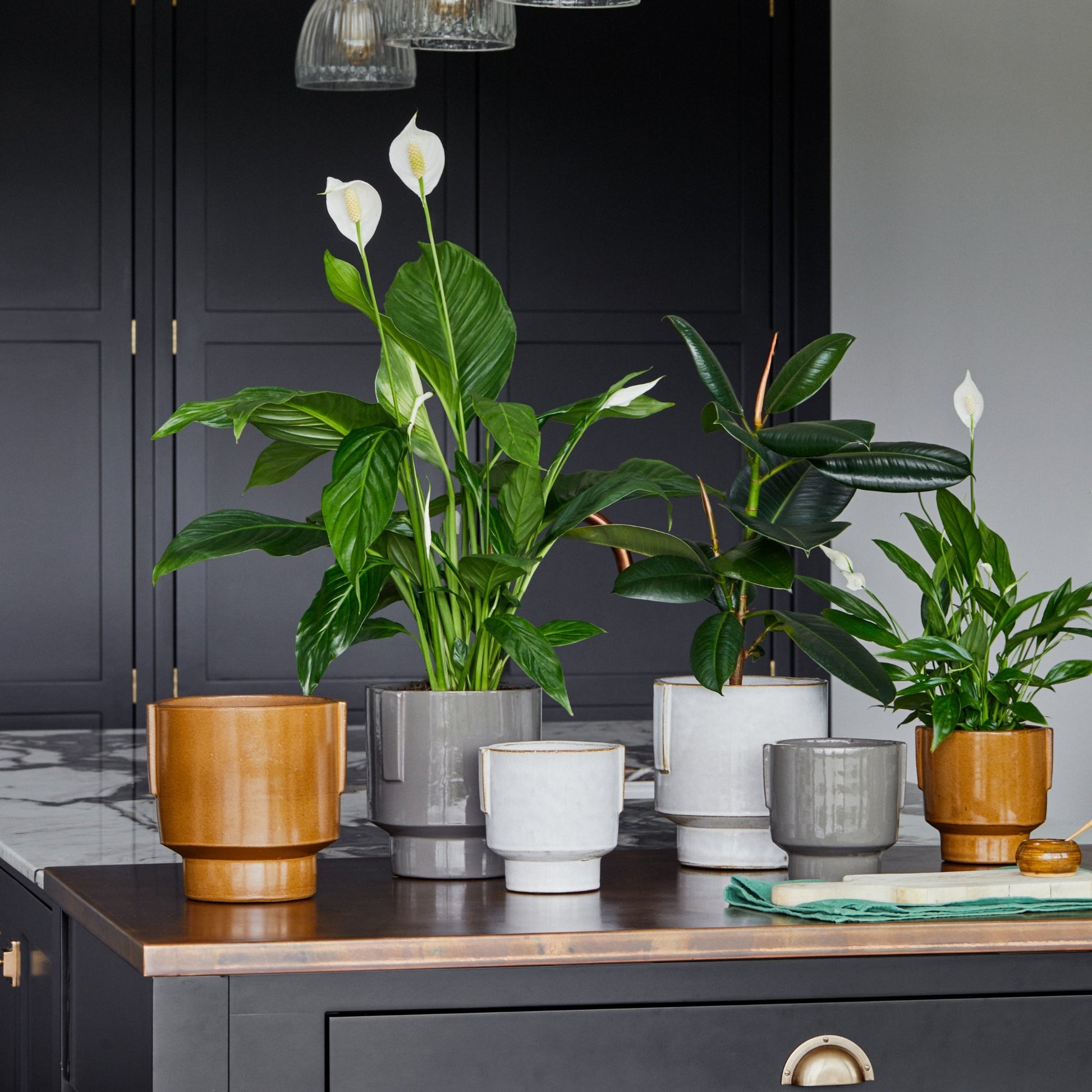 Aries Glazed handles planter Charcoal H20cm D19cm - Skandi London