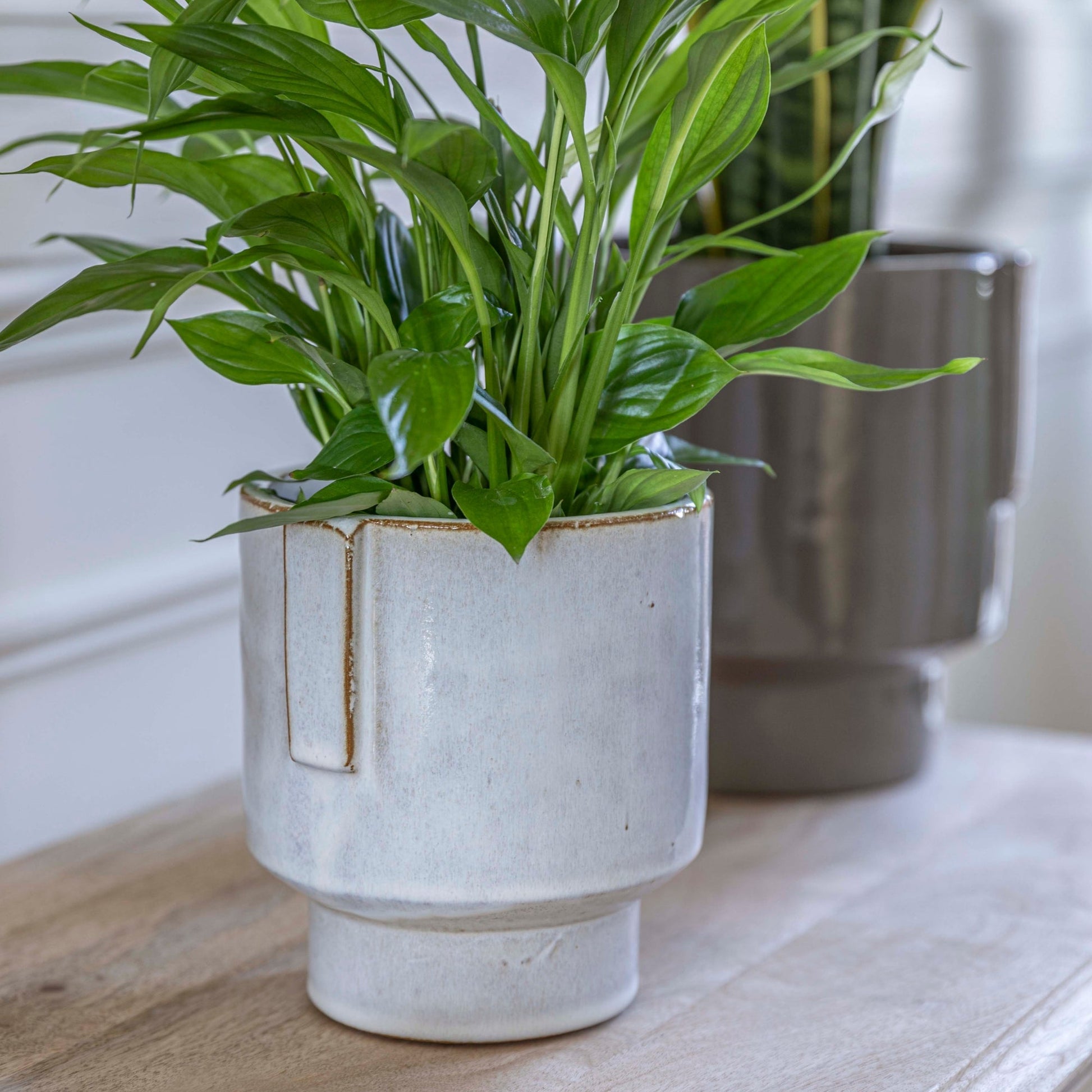 Aries Glazed handles planter Charcoal H20cm D19cm - Skandi London