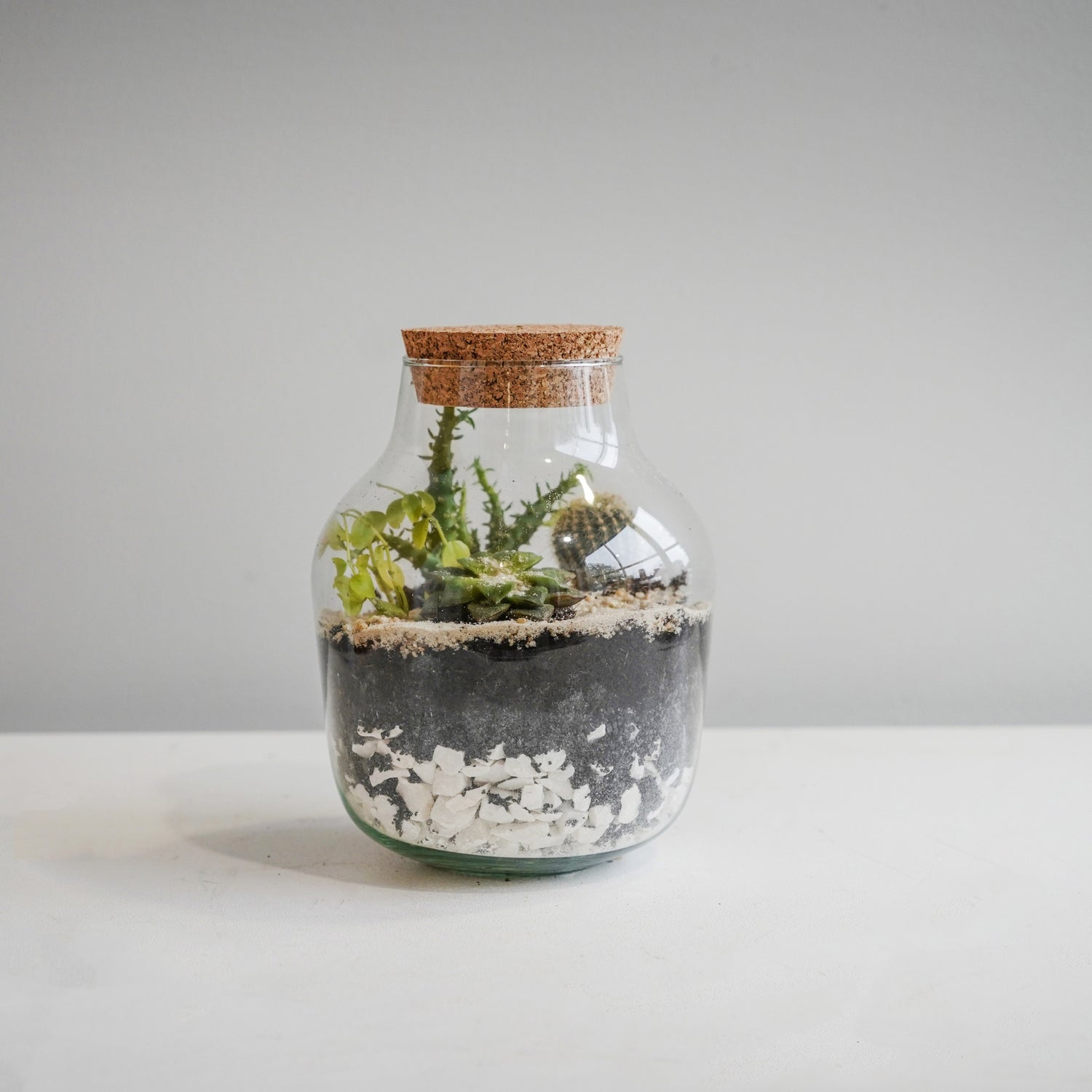 Arvika Angular Glass Small Terrarium DIY Kit - Small - Skandi London
