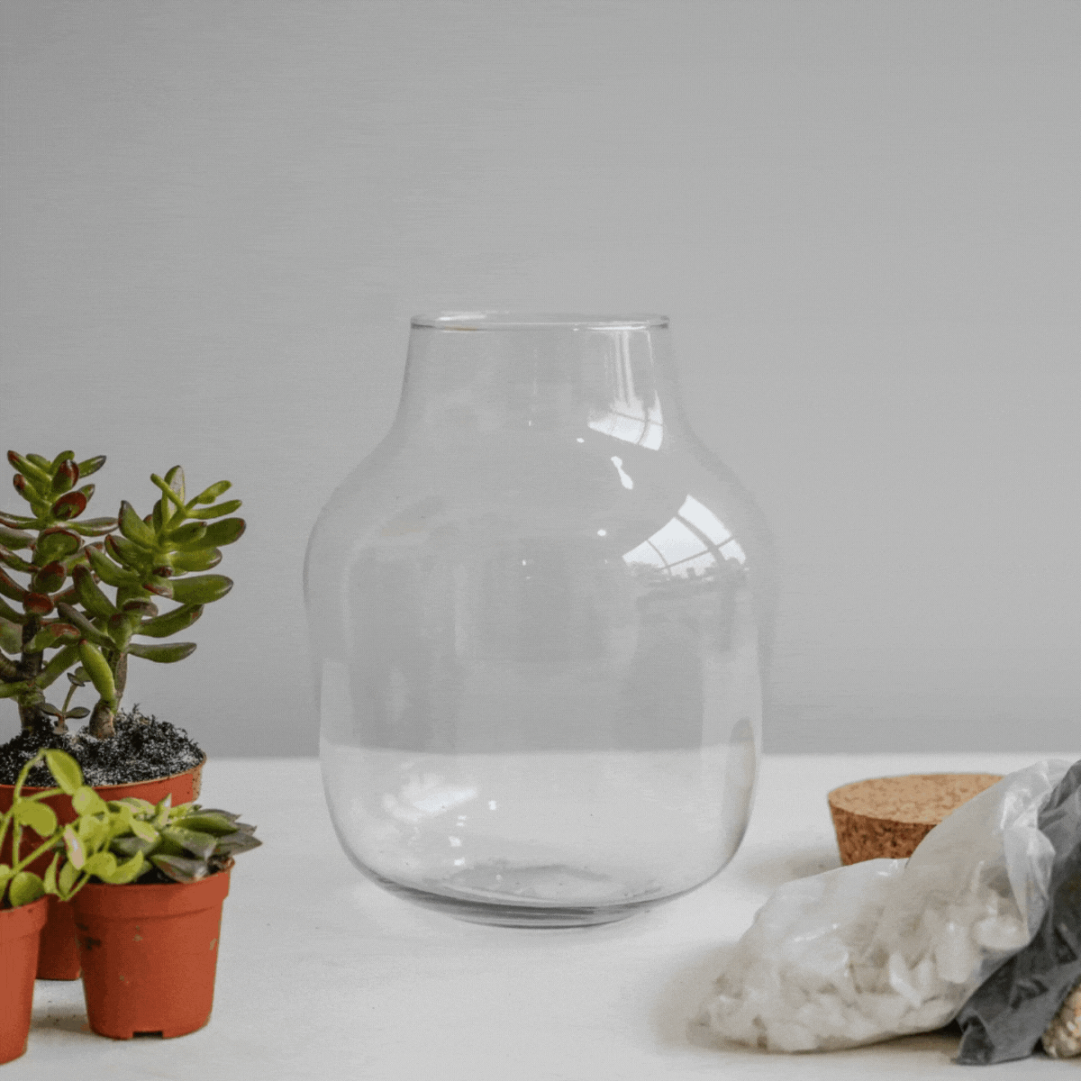 Arvika Angular Glass Small Terrarium DIY Kit  - Small