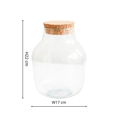 Arvika Angular Glass Small Terrarium DIY Kit - Small - Skandi London