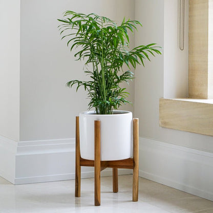 Anzio Stone White Planter with Wooden Stand H38.5Cm D24Cm ( New Embossed Logo) - Skandi London