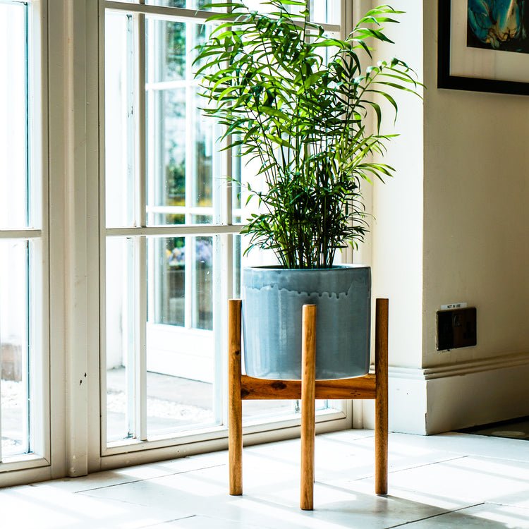 Anzio Warm Grey Planter with Wooden Stand H38.5Cm D24Cm ( New Embossed Logo) - Skandi London