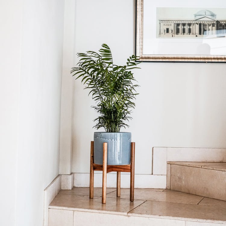 Anzio Warm Grey Planter with Wooden Stand H38.5Cm D24Cm ( New Embossed Logo) - Skandi London