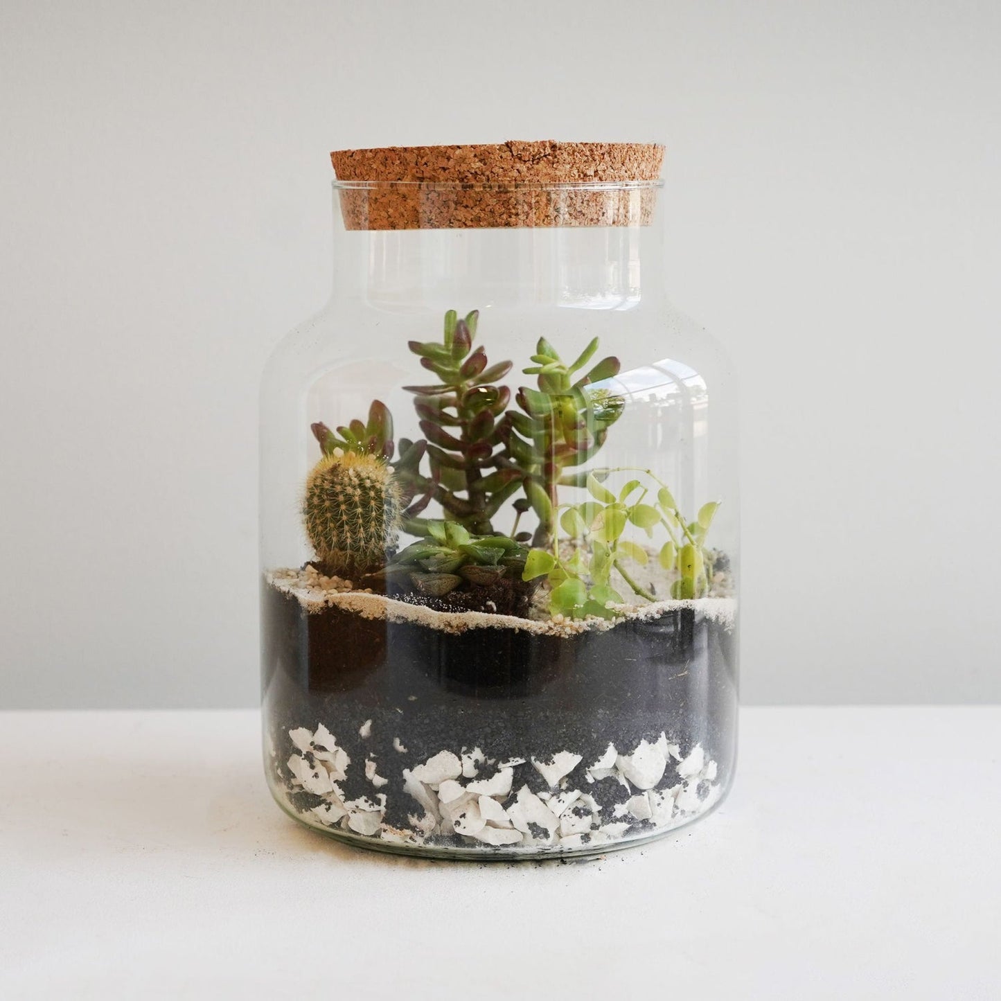 Askvoll Bottle Terrarium DIY Kit Medium - Medium - Skandi London