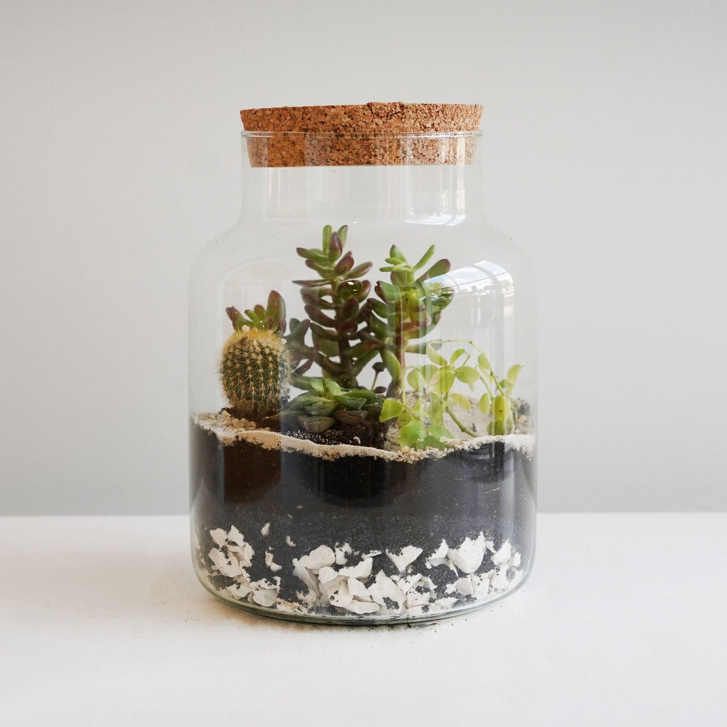 Askvoll Bottle Terrarium DIY Kit Medium - Medium - Skandi London