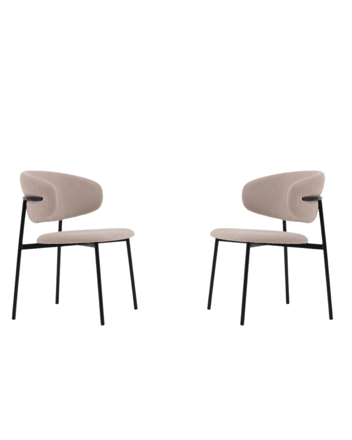 Scout Dining Chair - Set of 2