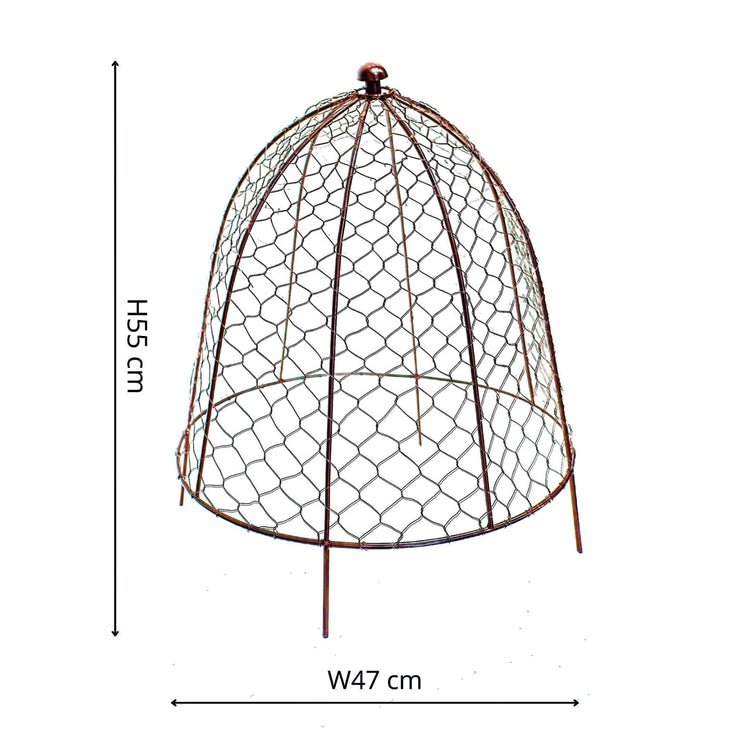 Outdoor Wire Netted Plant Protector Bronze H55cm W47 - Skandi London