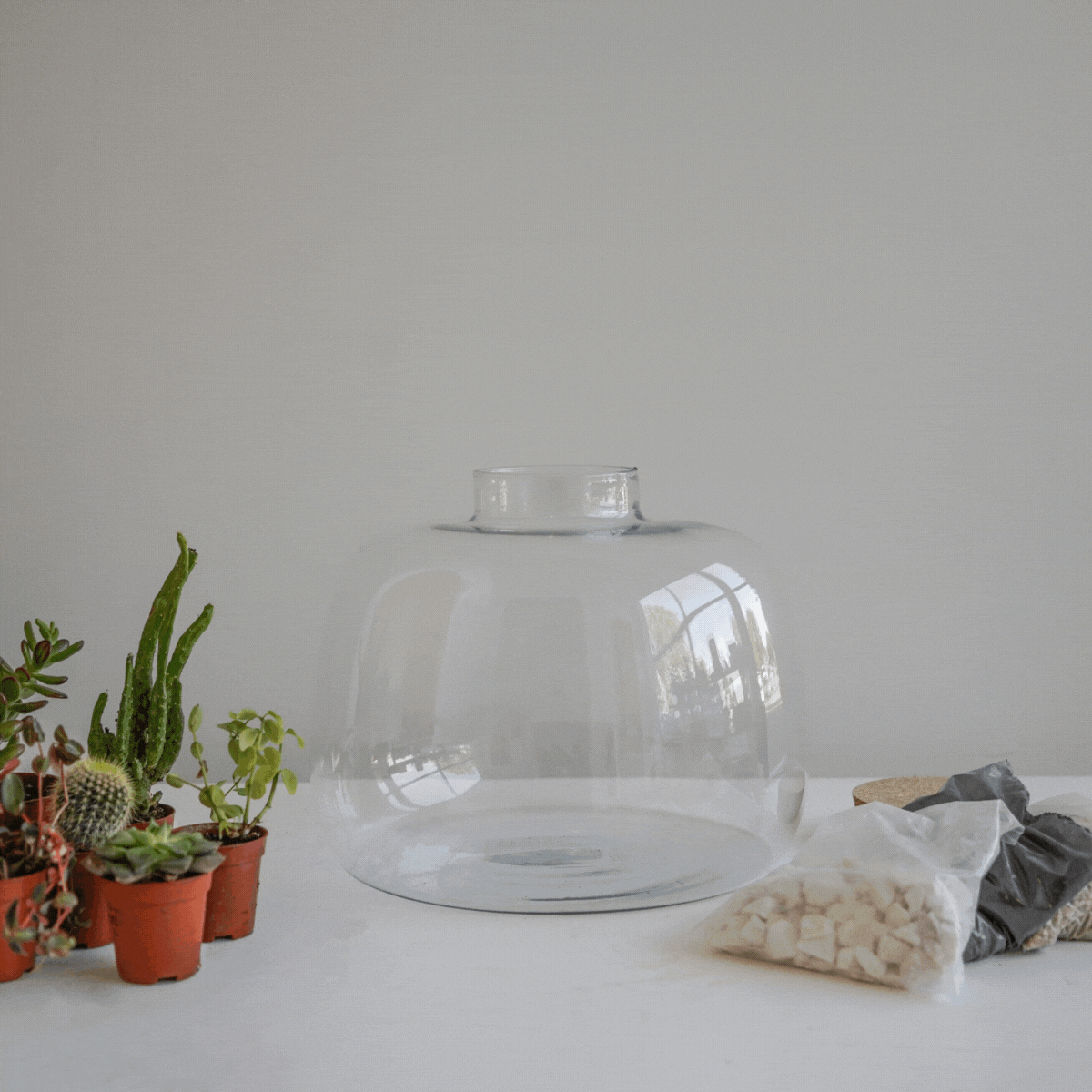 Asker Bowl Terrarium DIY Kit Large - Large