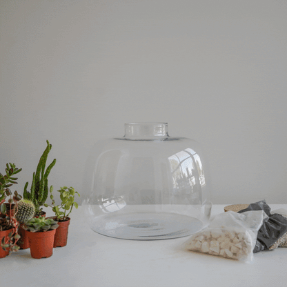 Asker Bowl Terrarium DIY Kit Large - Large