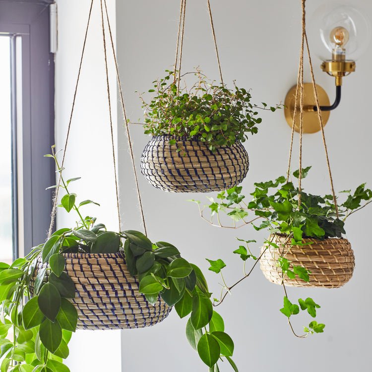 Hanging Seagrass Planter Set of 2 - Skandi London