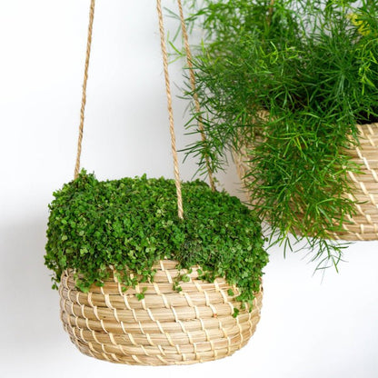 Hanging Seagrass Planter Set of 2 - Skandi London