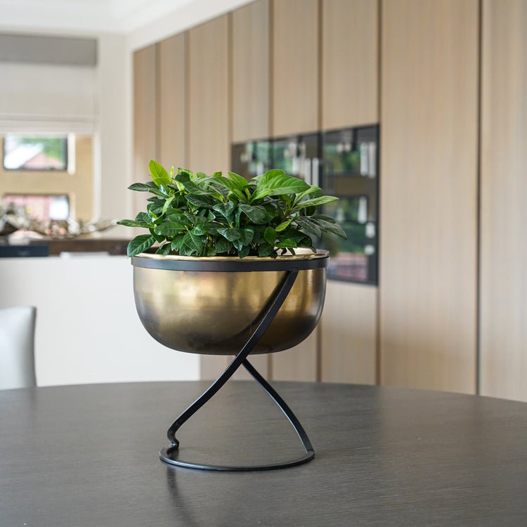 Indoor Kensington Brass Metal Round Planter on Stand H30Cm W28Cm - Skandi London
