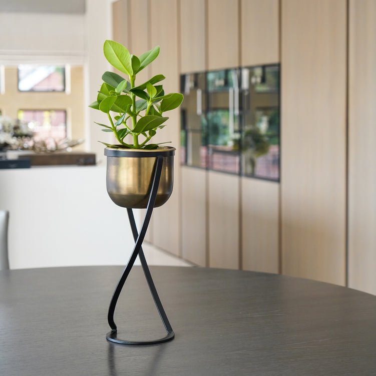 Indoor Kensington Brass Metal Round Planter on Stand H42Cm W14Cm - Skandi London