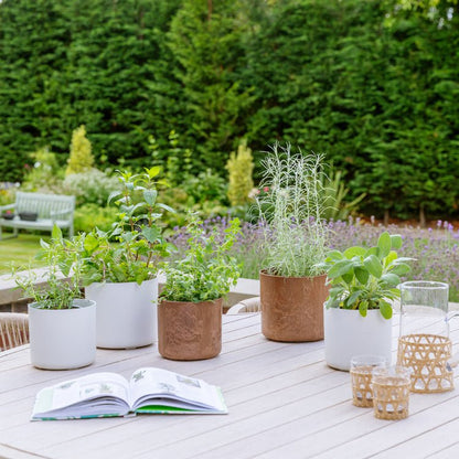 Celine Set of Two Recycled Oak Planters - Skandi London