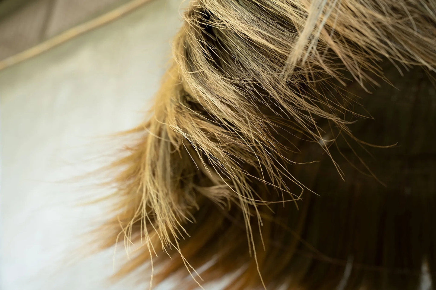 The Makiki Pendant - Natural - Extra Large